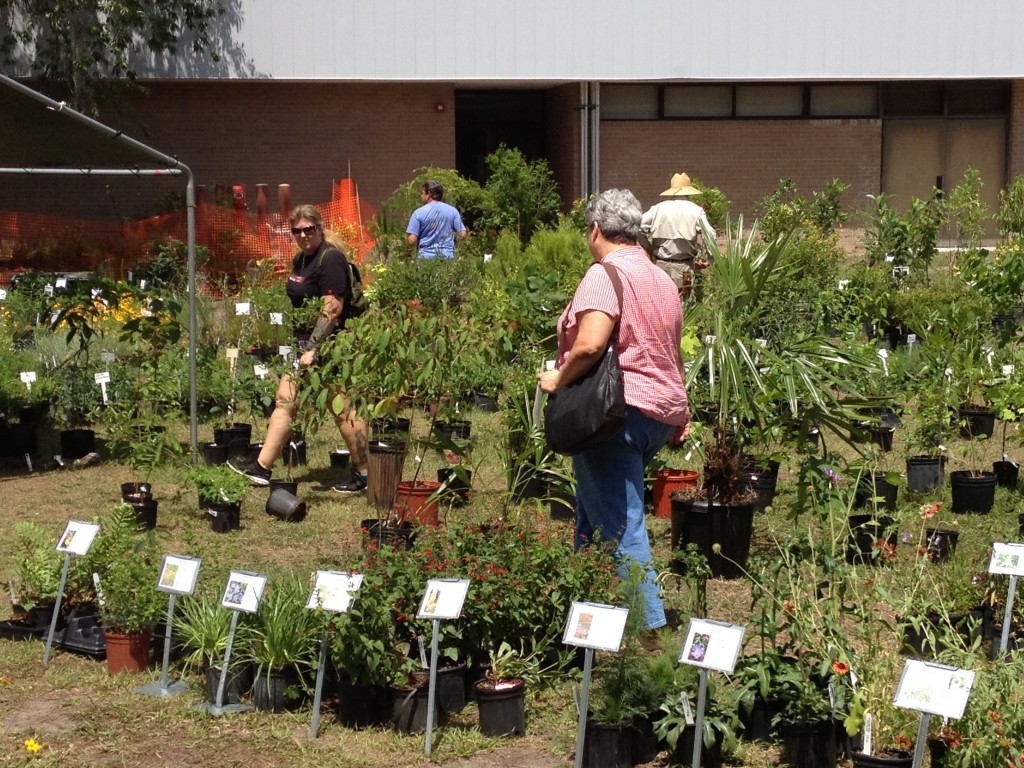 » Sell Native Plants At FNPS 34th Annual Conference, May 16-17, Fort ...